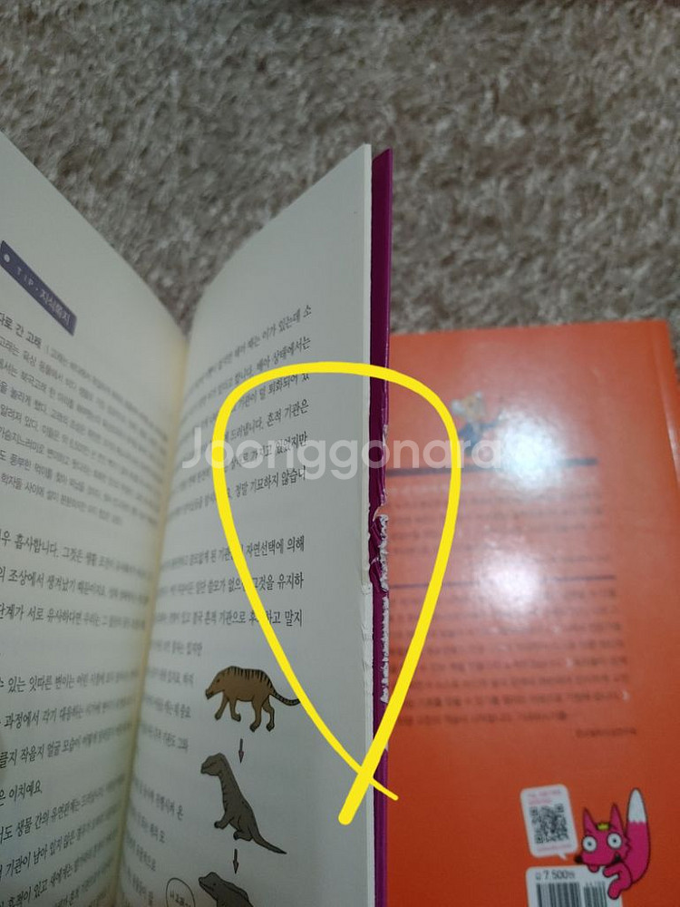 주니어 필독선 다윈의 종의 기원 아퀴나스의 신학대전--7