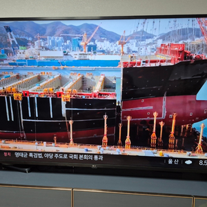 LG 65인치 TV