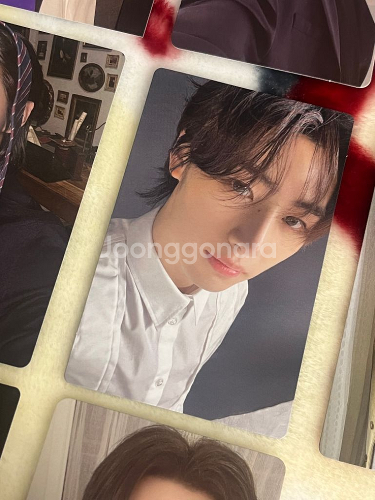 엔하이픈 성훈 포카 양도 처분 폭덤 박성훈 럭드 특전--1
