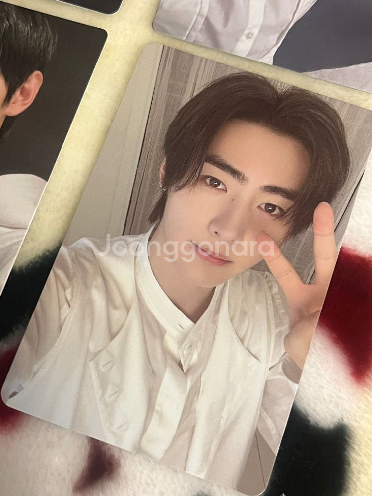 엔하이픈 성훈 포카 양도 처분 폭덤 박성훈 럭드 특전--4