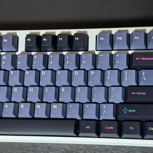 frog tkl f12 제네시스8k rgb