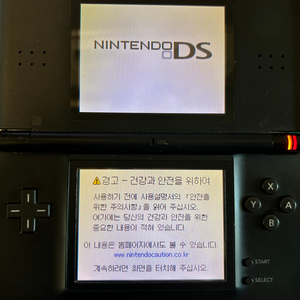 닌텐도 ds lite+칩