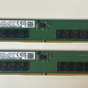 삼성 DDR5 PC5-44800 16GBx2 32GB