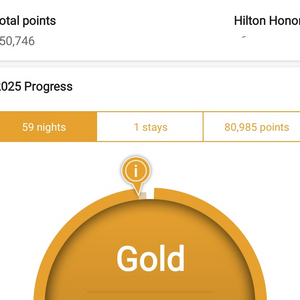 힐튼 포인트 100000P