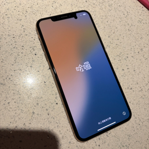 아이폰 xs max 256GB