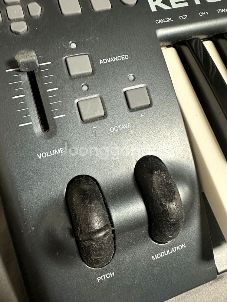maudio keystation 49 마스터건반--1