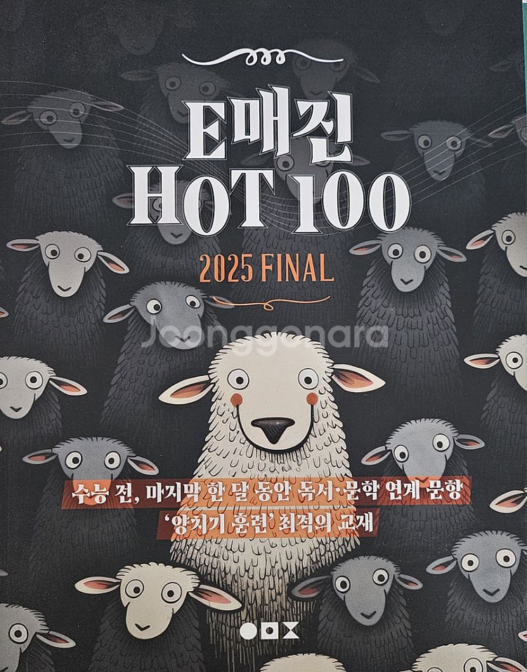 2025 상상국어연구소 E매진 핫100--0