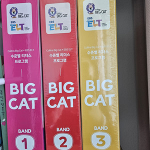 콜린스 빅캣 영어 원서 big cat