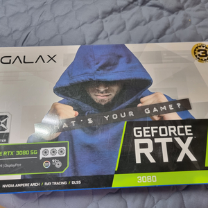 갤럭시 GALAX 지포스 RTX 3080 SG D6X