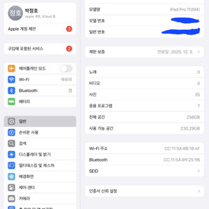 아이패드프로11 M4 256g wifi+프로팬슬