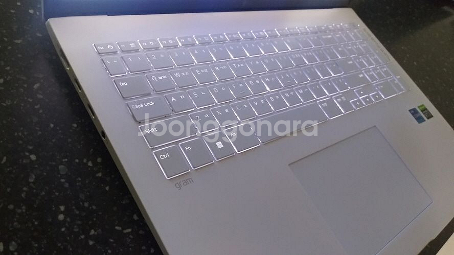 LG 13세대 17인치 고성능 그램/램32G,3050--5