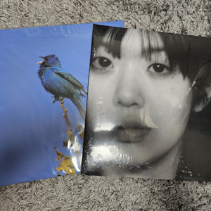 윤지영 Blue Bird / 나의정원에서 LP 미개봉