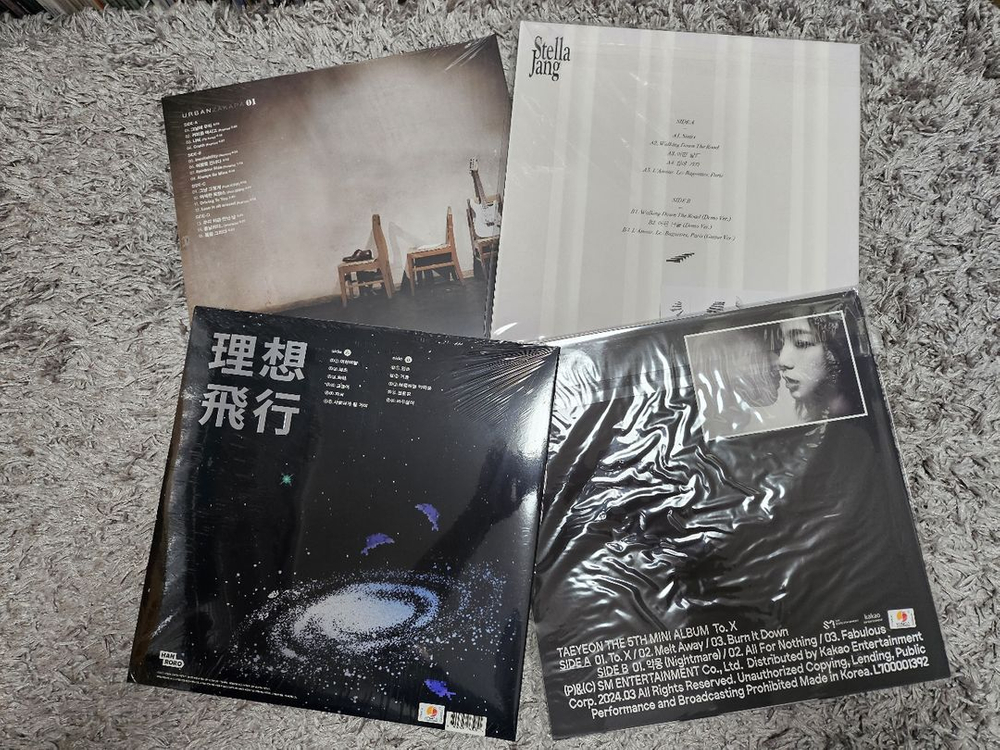 한로로,신지훈,검정치마,스텔라장,데이먼스이어,태연등LP 이미지