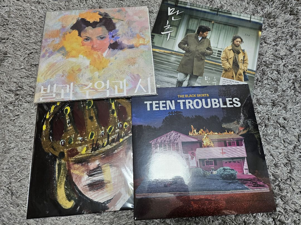 한로로,신지훈,검정치마,스텔라장,데이먼스이어,태연등LP 이미지