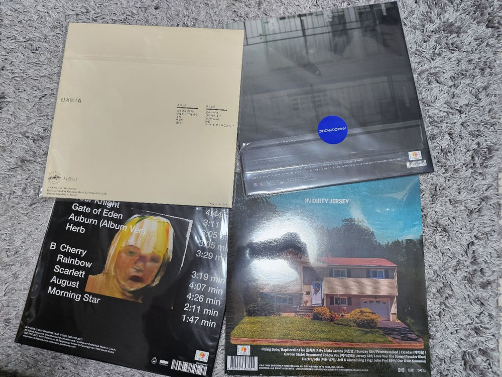 한로로,신지훈,검정치마,스텔라장,데이먼스이어,태연등LP 이미지