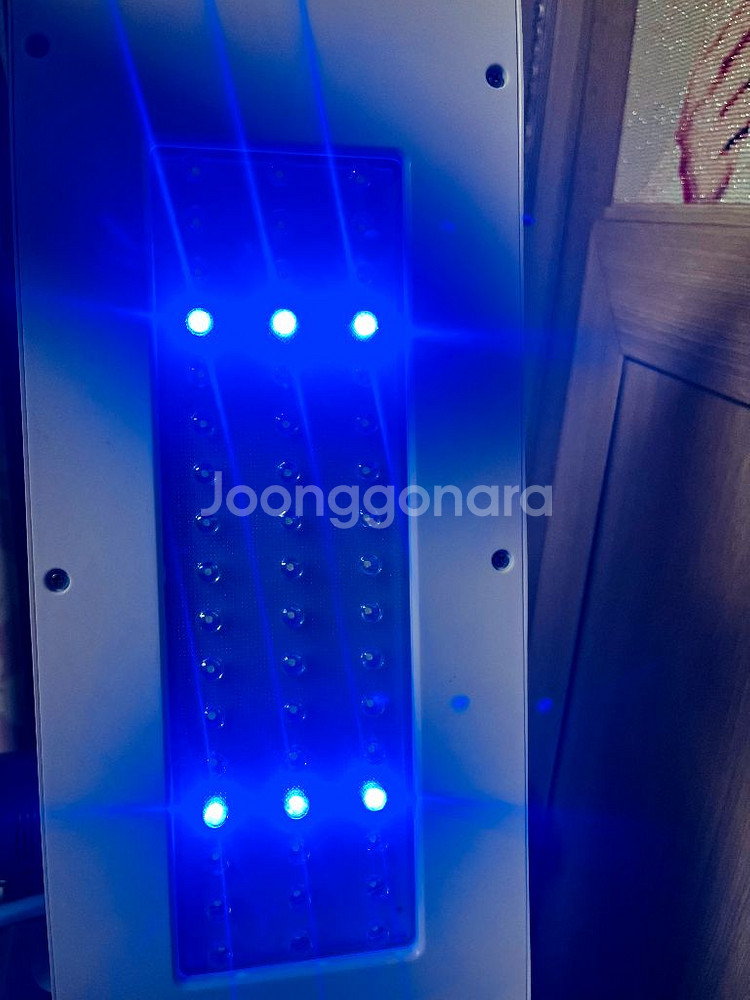 어항 수족관--2