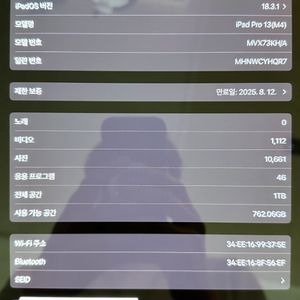 아이패드프로 7세대 M4 13인치 1TB Wifi