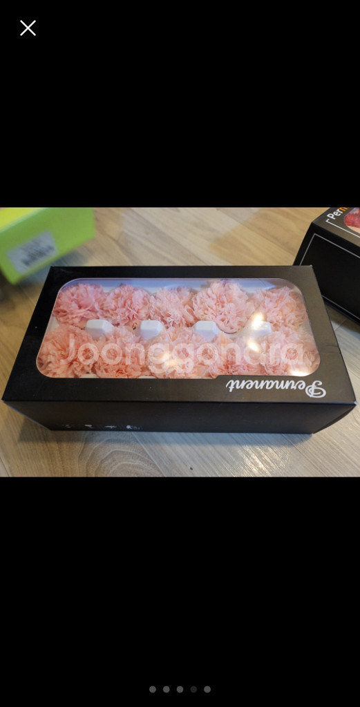 카네이션--0