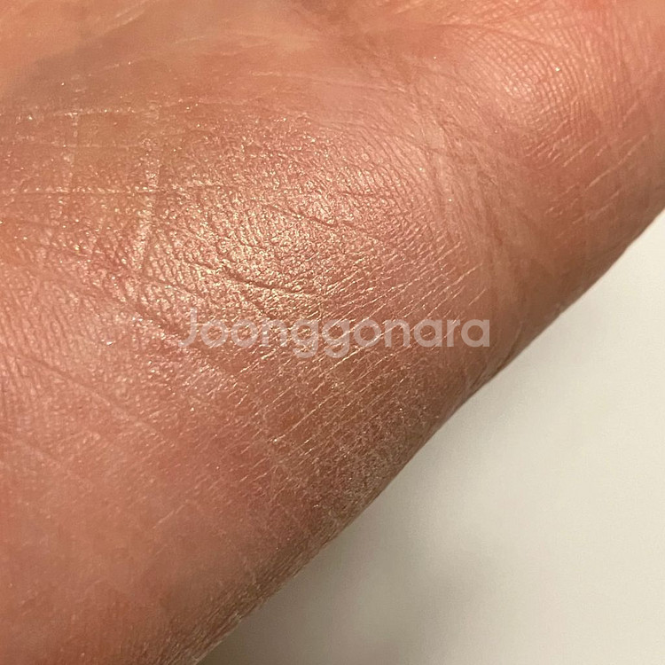 어딕션 섀도우 024 페니레인--4
