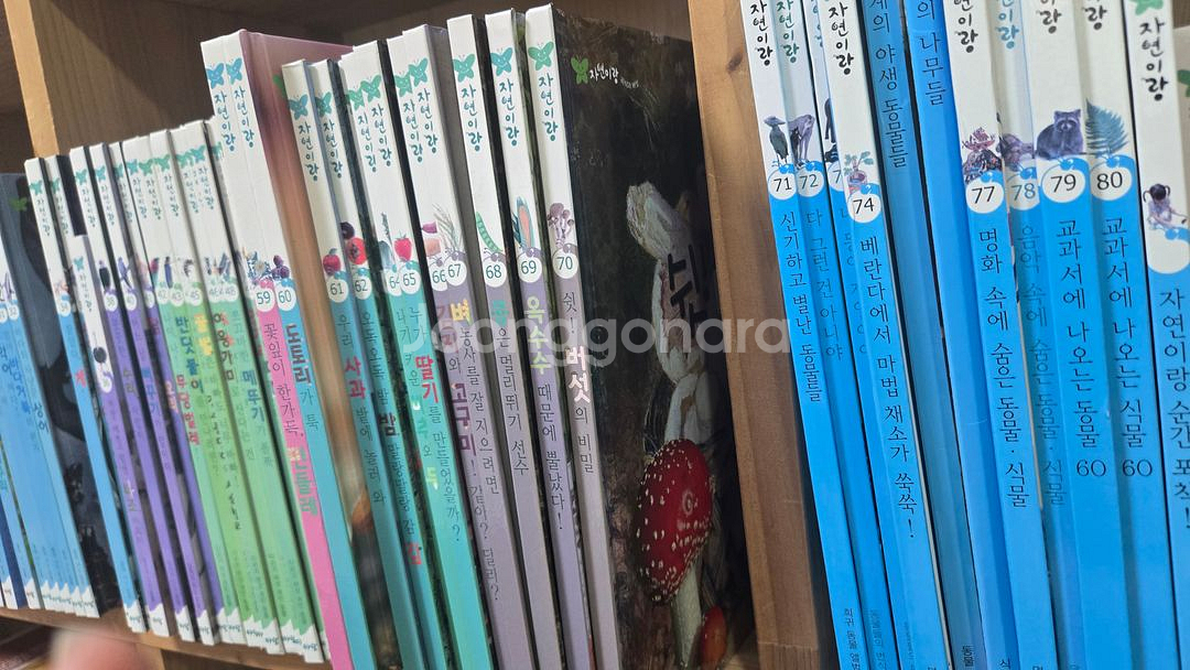 아람 자연이랑,바나나세계창작--3