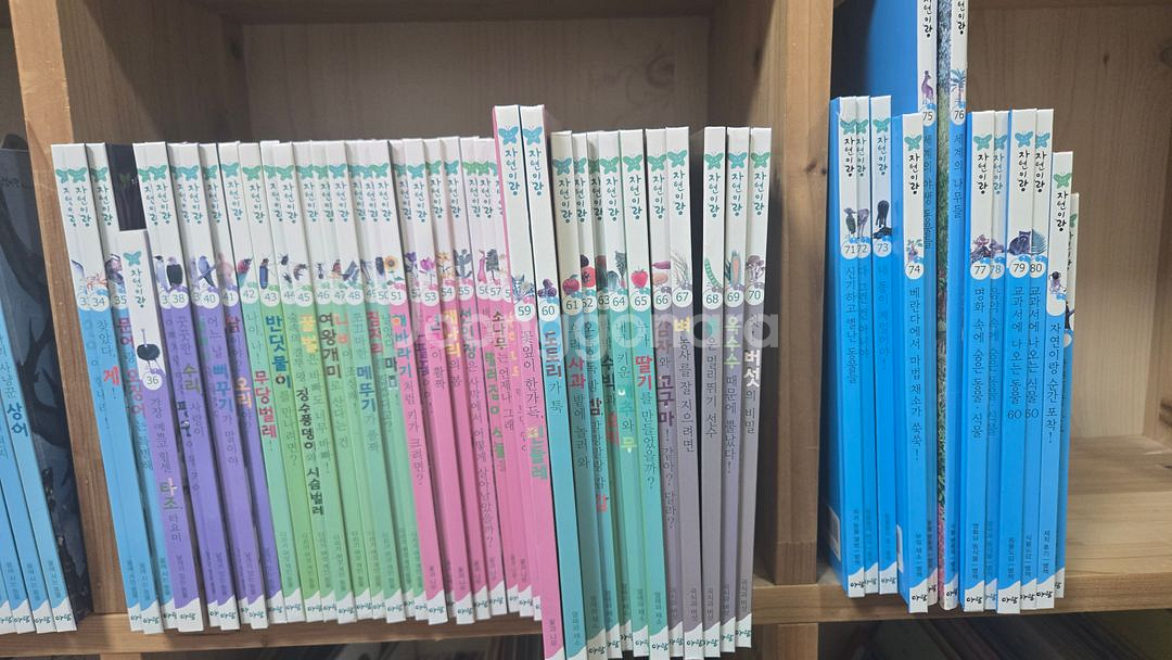 아람 자연이랑,바나나세계창작--1