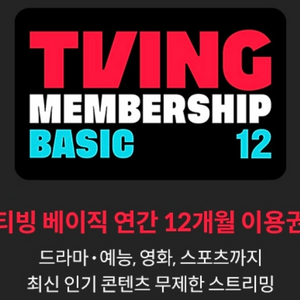 티빙 베이직 12개월 이용권