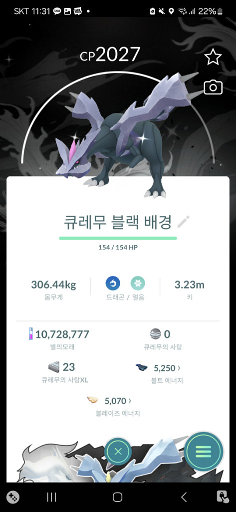 포켓몬고 큐레무/배경, 이로치 큐레무/배경 판매--2