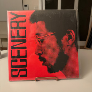 Ryo Fukui (후쿠이 료) -Scenery LP