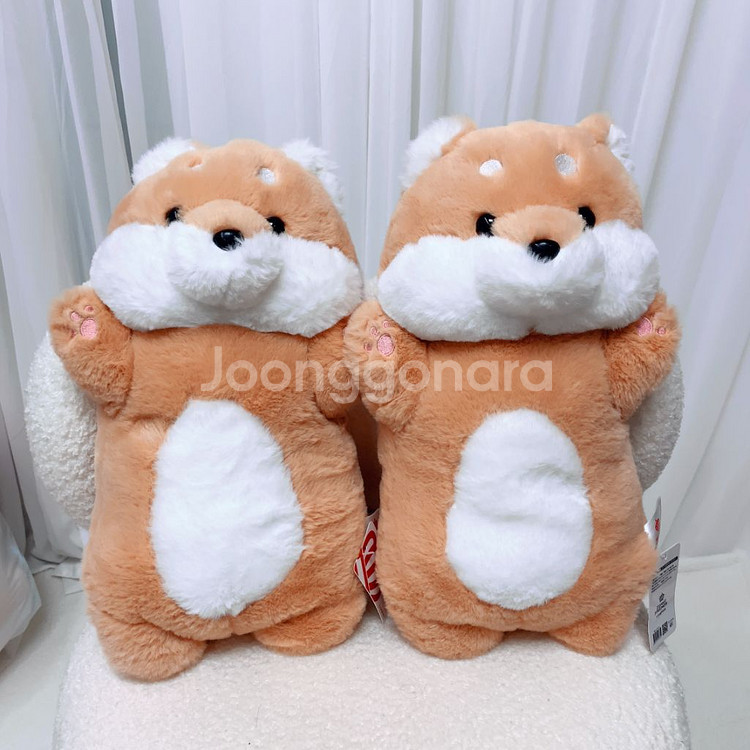 수달,카피바라,토끼,고양이,공룡,강아지,짱아,흰둥이인형--1