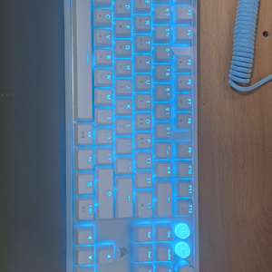 커세어 K70 pro tkl mgx 화이트 키보드