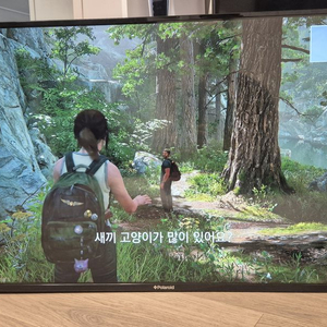 폴라로이드 4K 43인치 TV 팝니다 PDK43CP