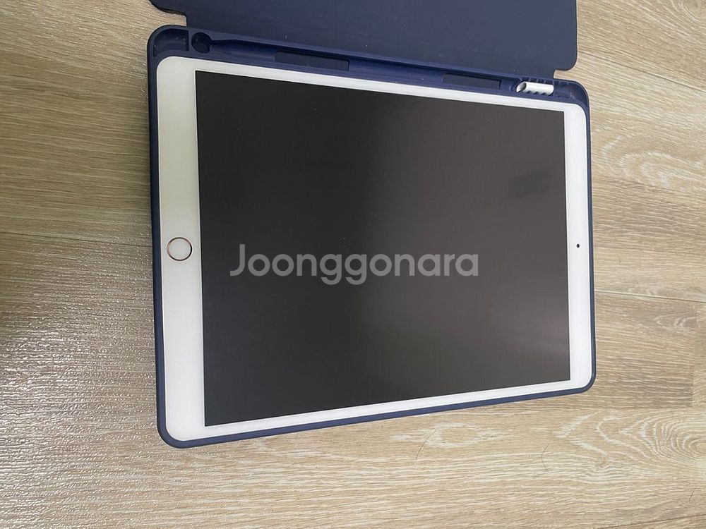 아이패드 프로 10.5 256gb--1