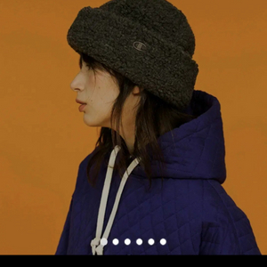 챔피온 보아 비니