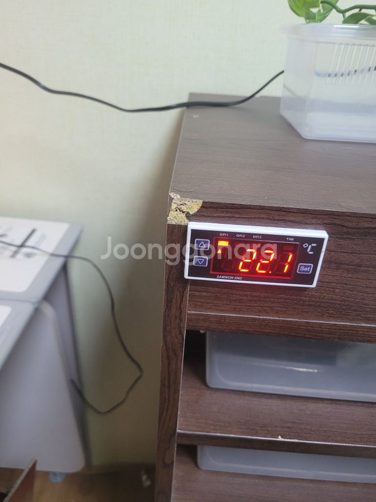 렉사육장 판매합니다--1