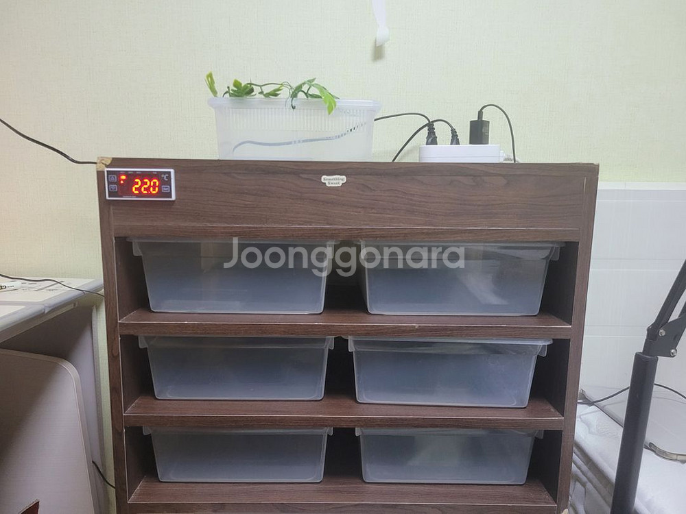 렉사육장 판매합니다--0