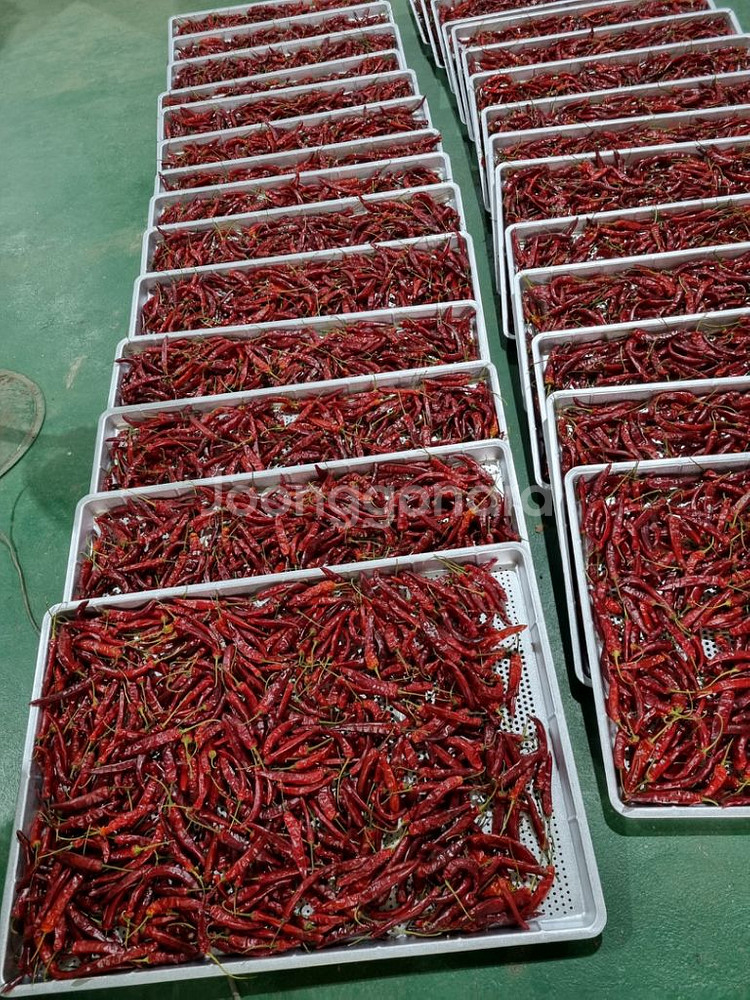 (새제품) 동양원 농산물/고추건조기 DYW-1100B--7