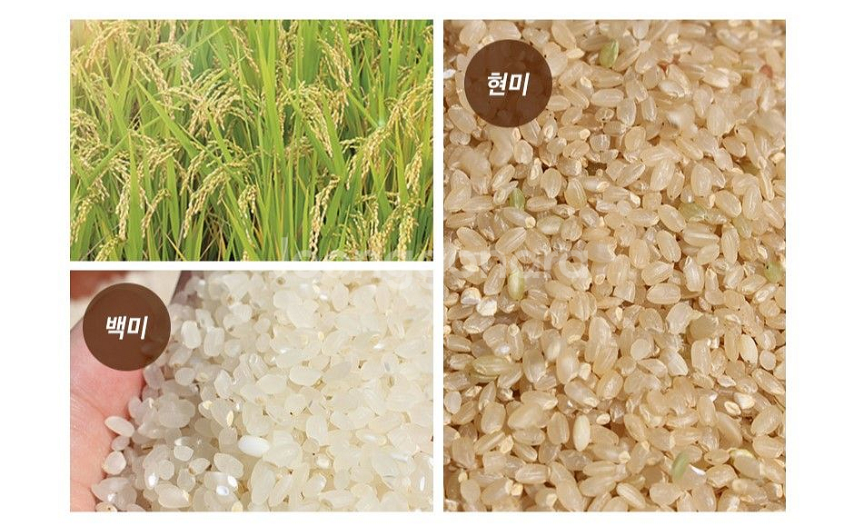 (새제품) 동양원 가정용정미기/도정기 DY-4500R--2