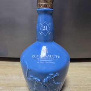 로얄살룻 비치폴로 공병