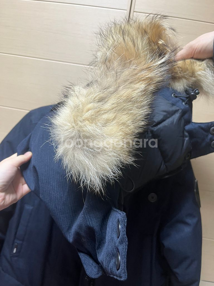 노비스 메리데스 패딩 S--2