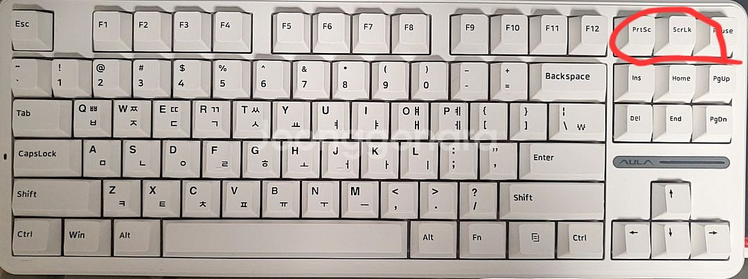 독거미 F87 pro--0