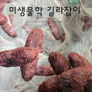 미생물학 길라잡이 제10판