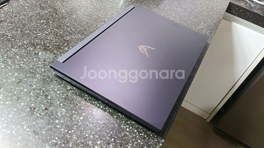 LG 하이엔드 울트라기어 17.3인치/램32G,3080--2