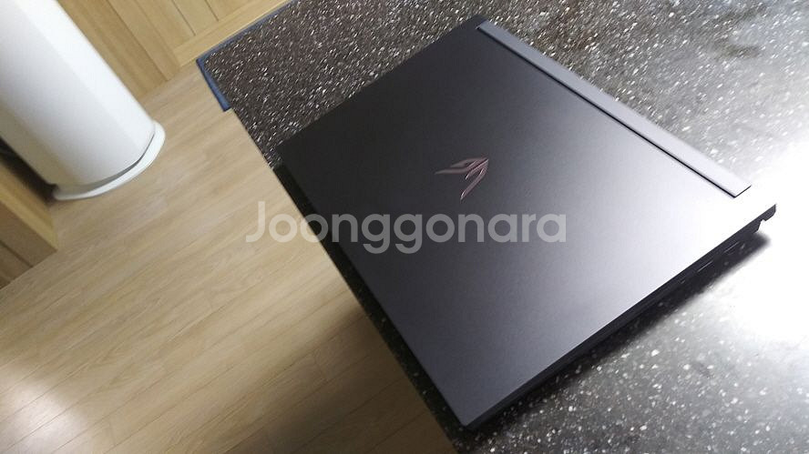 LG 하이엔드 울트라기어 17.3인치/램32G,3080--3