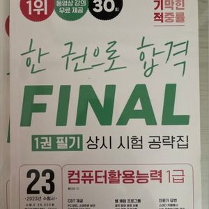 이기적 컴활1급 한권으로 합격 파이널 필기+실기