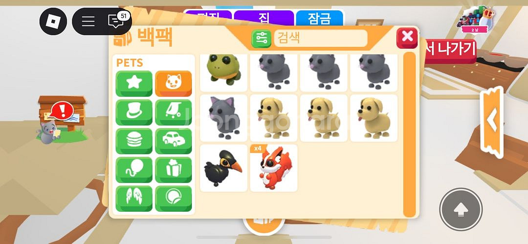 입양하세요 펫 팔아요--6