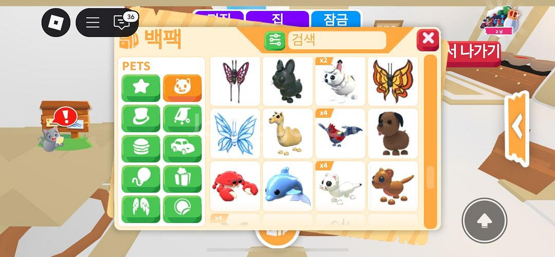 입양하세요 펫 팔아요--4