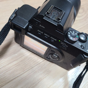 파나소닉 fz10