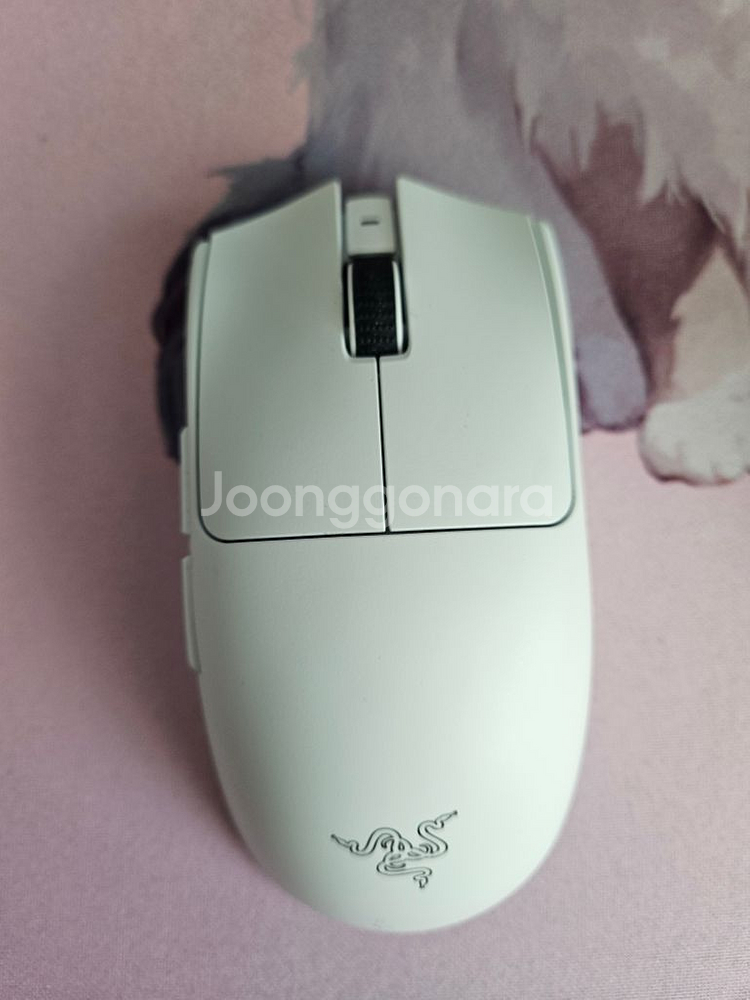 레이저 바이퍼V3 PRO--0