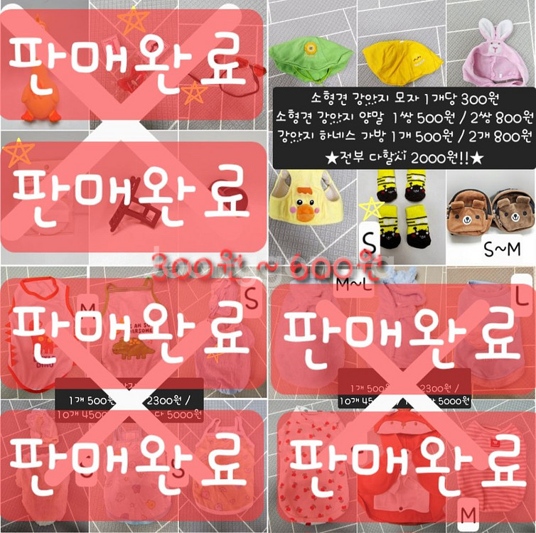 애견 모자ㆍ양말ㆍ가방하네스 300원부터~--0