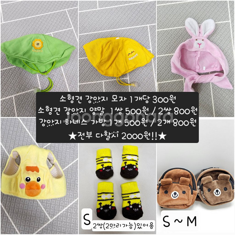 애견 모자ㆍ양말ㆍ가방하네스 300원부터~--1